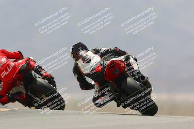 media/Apr-10-2022-SoCal Trackdays (Sun) [[f104b12566]]/Turn 9 Backside (1120am)/